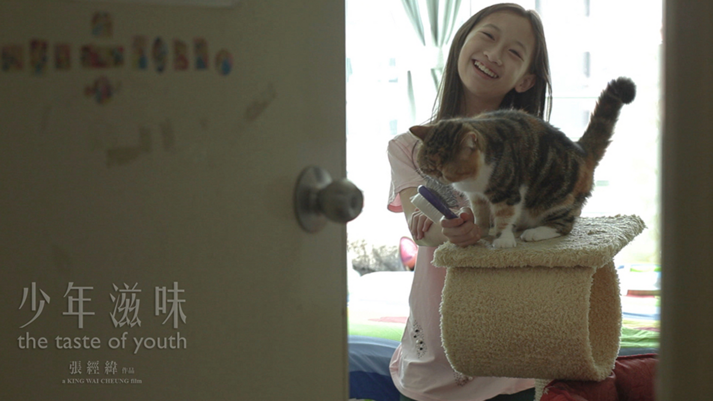 少年滋味 DVD The Taste of Youth