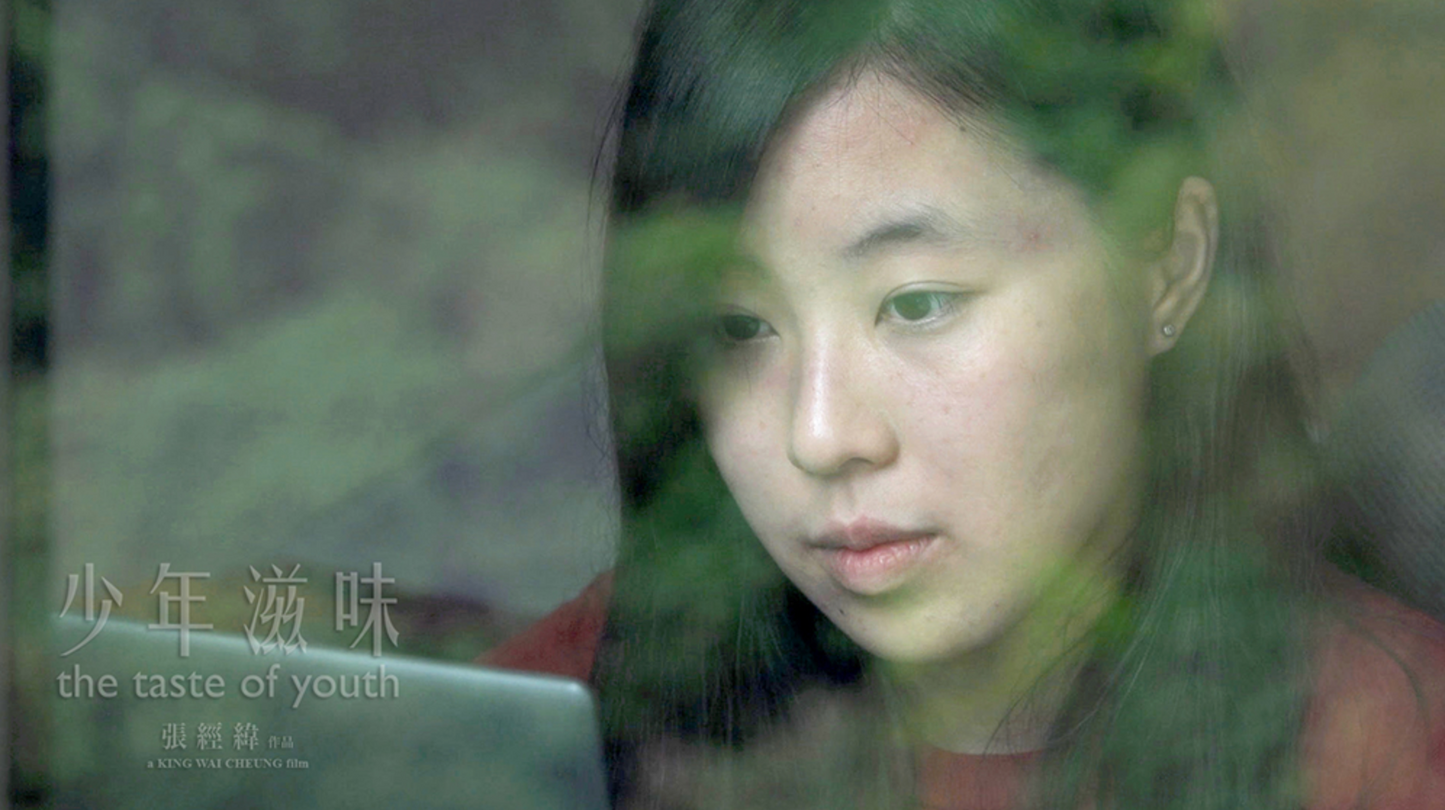少年滋味 DVD The Taste of Youth
