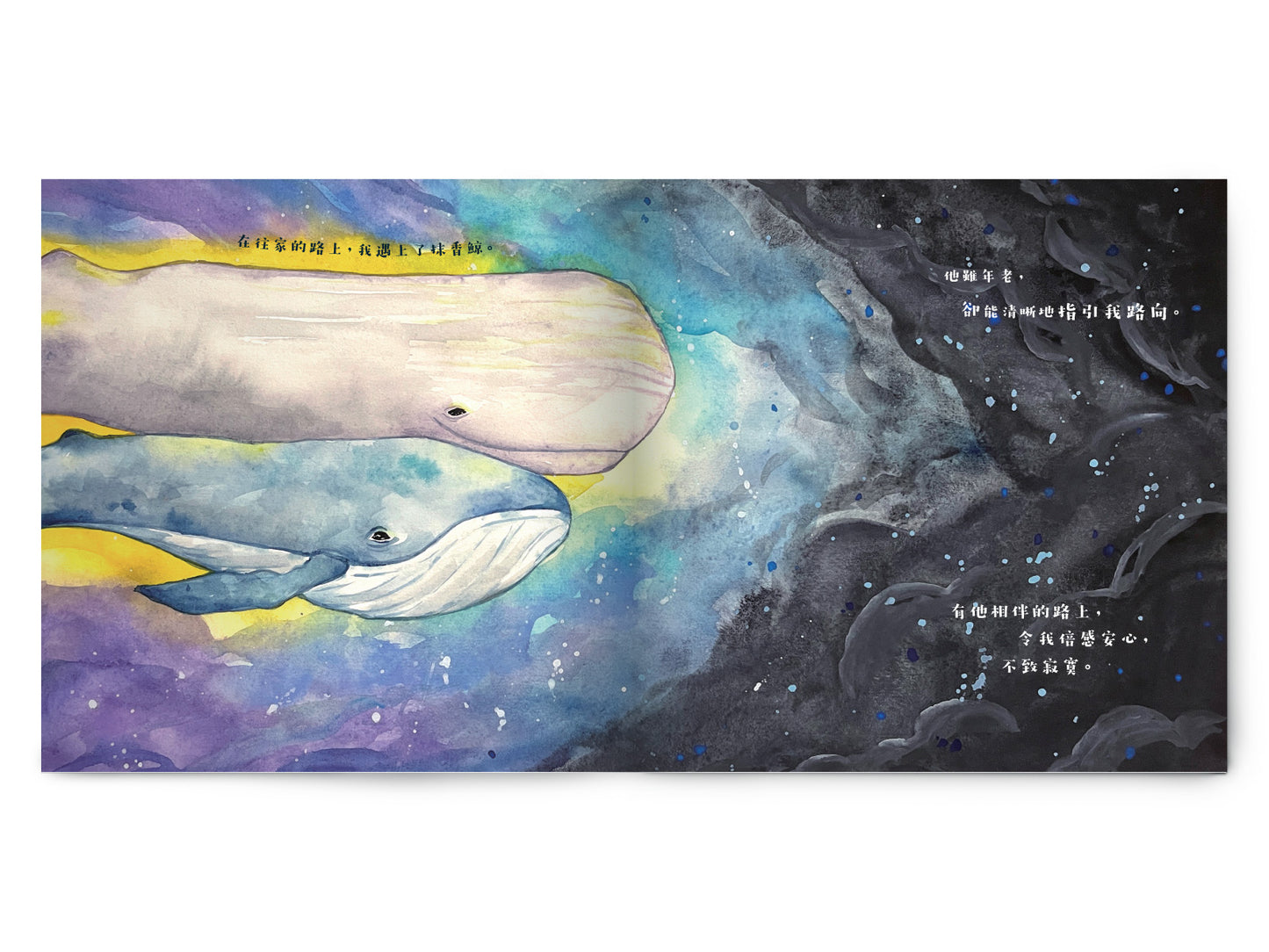 Y202202:【鯨歸何處】